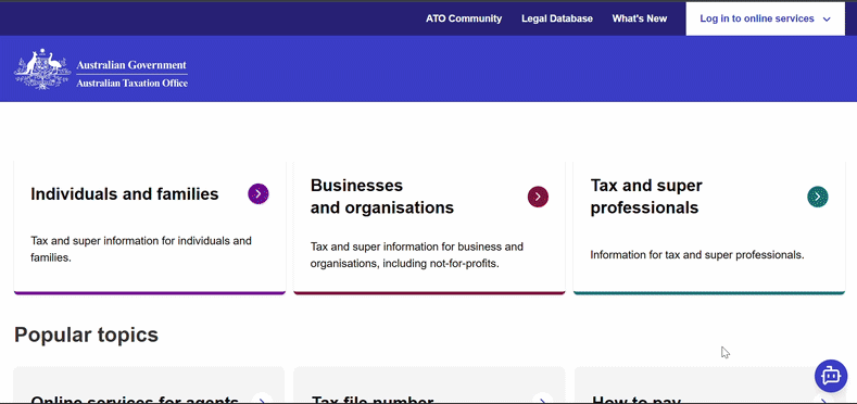 Chat UI screenshot / recording